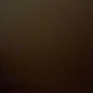 Meet your Posher, Nora